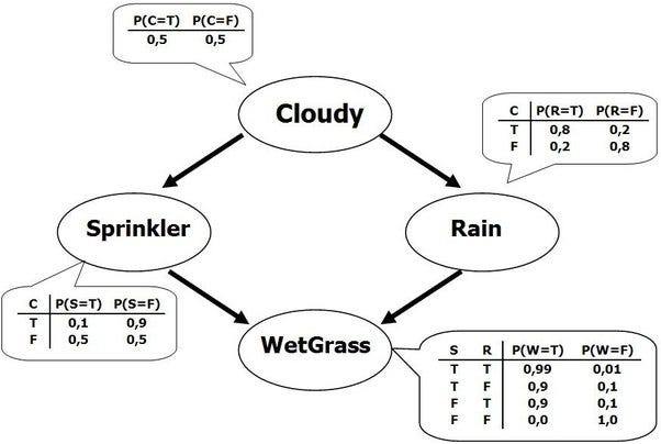 wet grass example